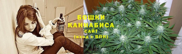 шишки Армянск