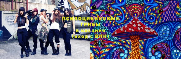 шишки Армянск