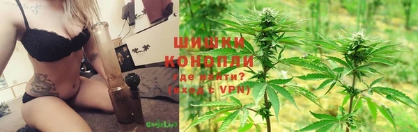 бошки Аркадак